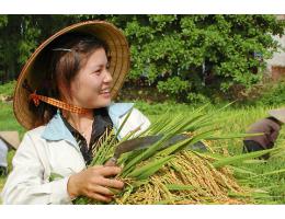 Tìm hiểu tập quán văn hóa Hà Tĩnh và quan hệ đất đai